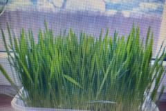 Zdjecie-WhatsApp-2024-03-06-o-14.20.53_a6af19ad