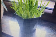 Zdjecie-WhatsApp-2024-03-06-o-14.20.54_9cc4d2cd