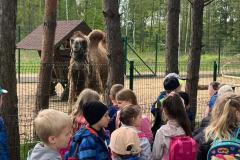 Zdjecie-WhatsApp-2024-05-06-o-15.27.18_04b1aa20