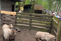 Zdjecie-WhatsApp-2024-05-06-o-15.27.19_885aac4d