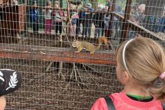 Zdjecie-WhatsApp-2024-05-06-o-15.27.20_de63c011