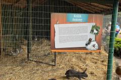 Zdjecie-WhatsApp-2024-05-06-o-15.27.20_e7680fad