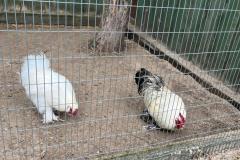 Zdjecie-WhatsApp-2024-05-06-o-15.27.21_97afcd55