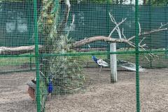 Zdjecie-WhatsApp-2024-05-06-o-15.27.22_1e7d11c6