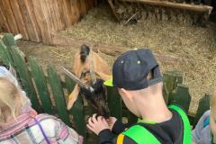 Zdjecie-WhatsApp-2024-05-06-o-15.27.22_2bf64f26