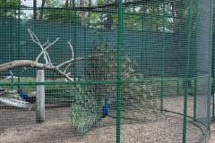 Zdjecie-WhatsApp-2024-05-06-o-15.27.22_d054d9ff