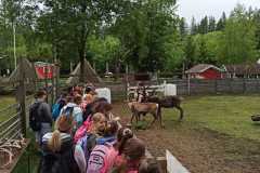 IMG-20230611-WA0006