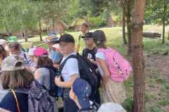 Zdjecie-WhatsApp-2024-06-03-o-19.16.58_18cb8990