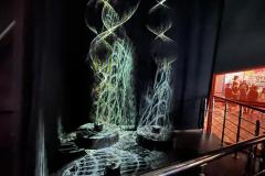 IMG-20230601-WA0004-1