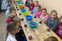 Zdjecie-WhatsApp-2023-12-11-o-12.37.21_0a421bef