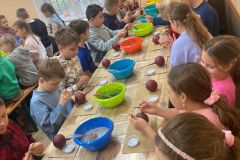 Zdjecie-WhatsApp-2023-12-11-o-12.37.21_2a75f153