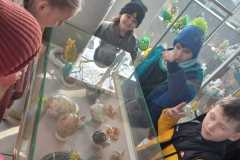 Zdjecie-WhatsApp-2024-03-04-o-21.11.46_88f4c584