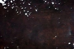 Kongo-Robert
