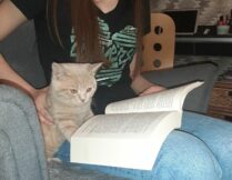 Więcej o: Dzień z książką i kotem na kolanach