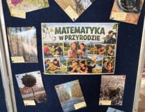 Więcej o: „Matematyka w przyrodzie” 📸🌿