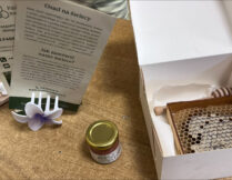 Więcej o: Światowy Dzień Pszczoły – Bez Zapylaczy Nie Ma Przyszłości 🐝🍯🐝🌸🌸🌸🌼🌼🌼